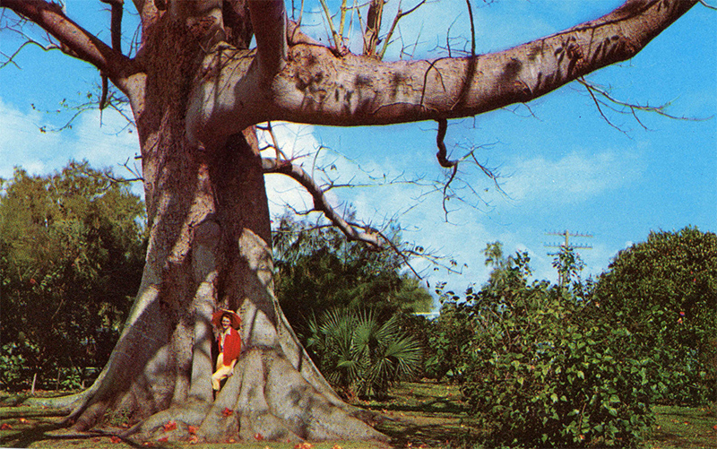 postcard